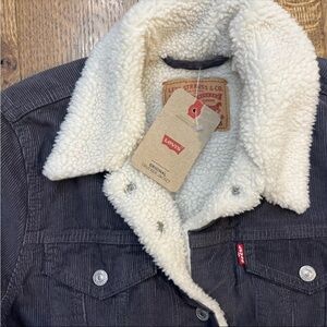 Original New Levi Strauss & co Sherpa Lined Corduroy grey jacket retails 99$ NSH